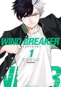 WIND BREAKER