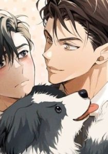 Dog Fur Romance